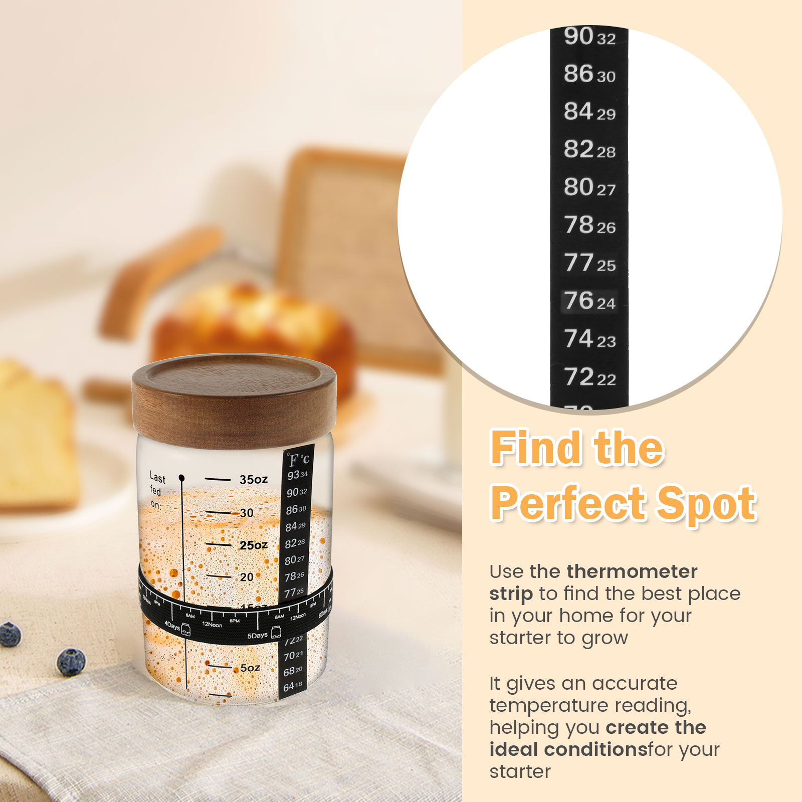 Kit de frasco inicial de massa - Food Storage Tank avaliação e preço
