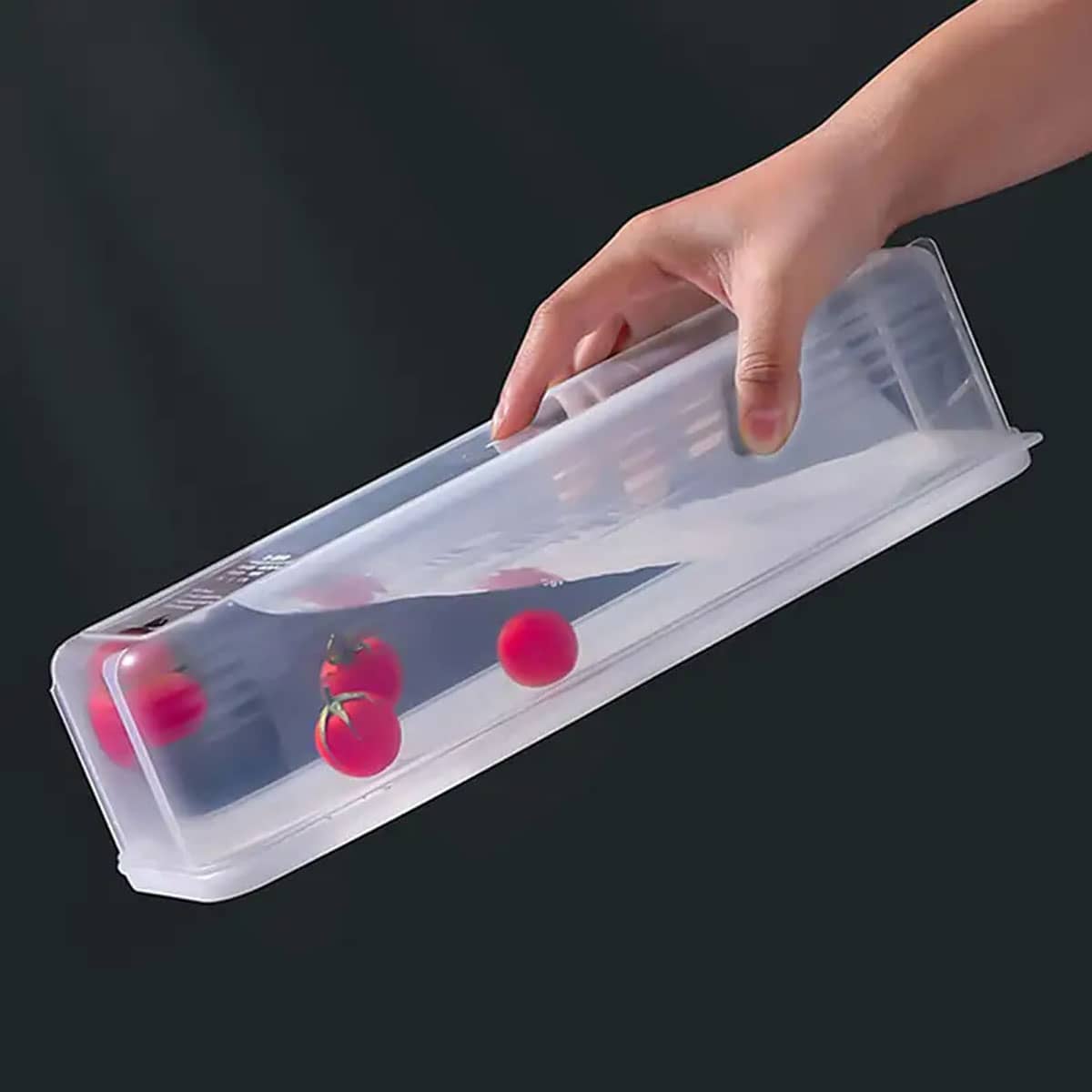 1 Caixa de Armazenamento Plást - Food Storage Order avaliação e preço